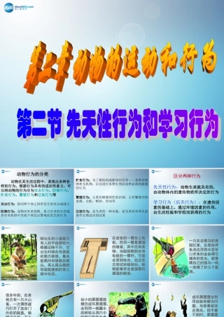 八年级生物上册 第二章 第二节 先天性行为和学习行为课件1 新人教版 课件