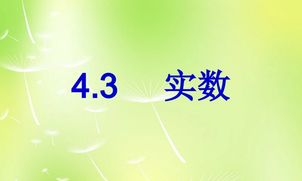 八年级数学上册 4.3 实数课件 (新版)苏科版 课件