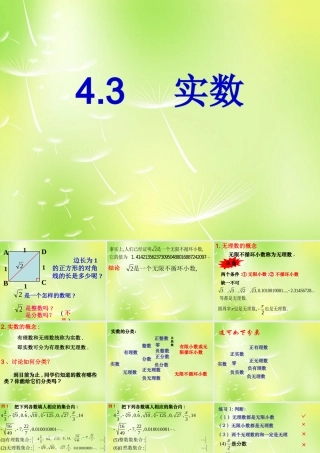 八年级数学上册 4.3 实数课件 (新版)苏科版 课件