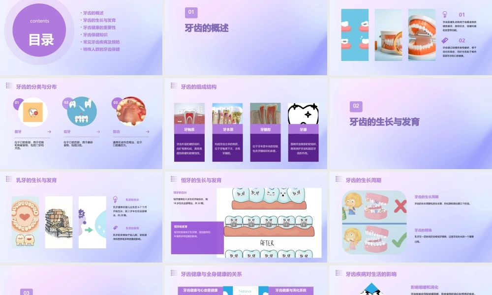 认识牙齿通用课件