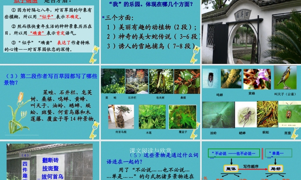 七年级语文上册 第三单元 9(从百草园到三味书屋)课件 新人教版 课件