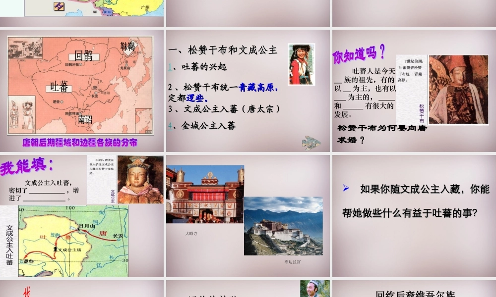 中学七年级历史下册 第5课 和同为一家 课件 新人教版