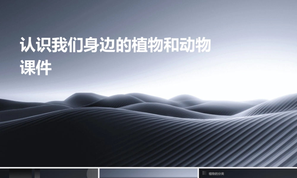 认识我们身边的植物和动物课件