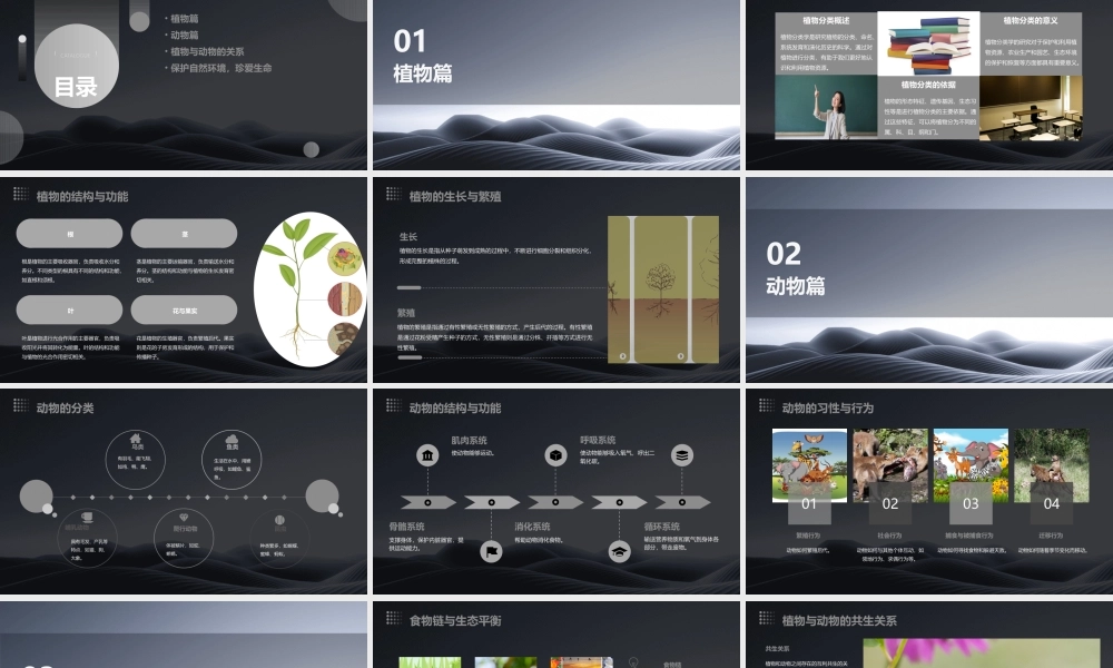 认识我们身边的植物和动物课件