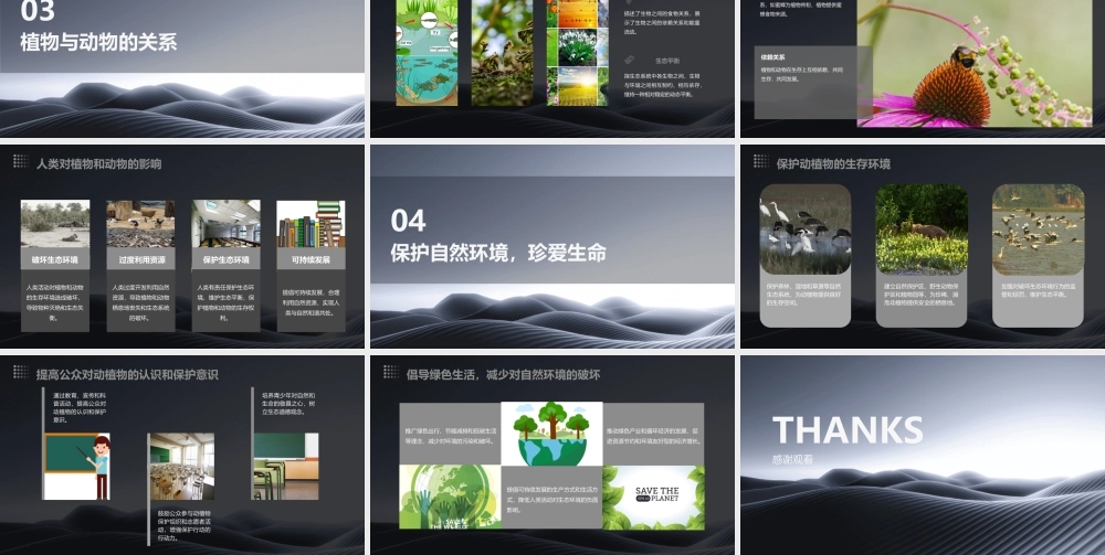 认识我们身边的植物和动物课件