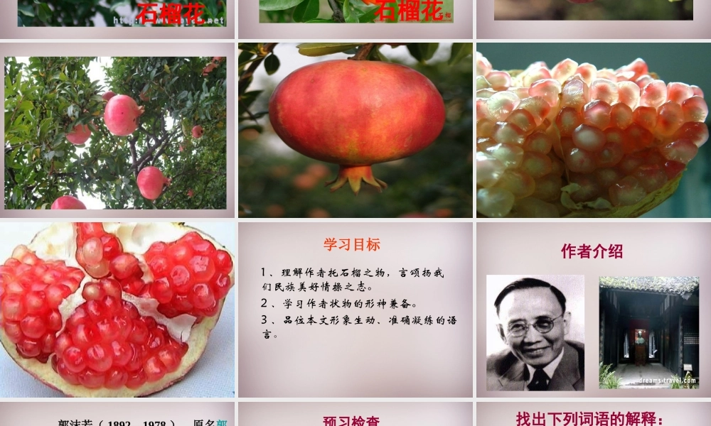 中学七年级语文下册 1 石榴课件 语文版 课件