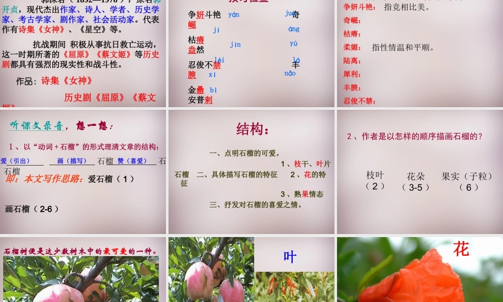 中学七年级语文下册 1 石榴课件 语文版 课件