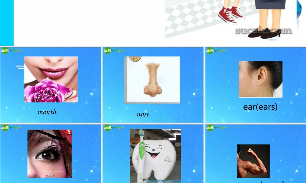 八年级英语上册 what is the matter？课件 人教新目标版 课件