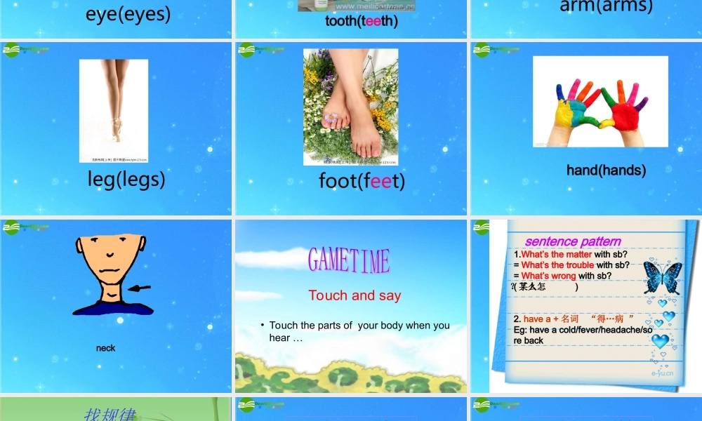 八年级英语上册 what is the matter？课件 人教新目标版 课件