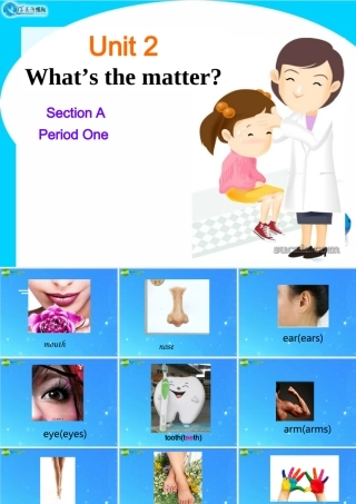 八年级英语上册 what is the matter？课件 人教新目标版 课件