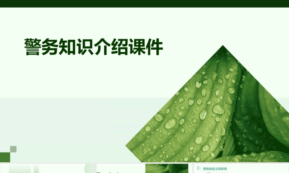 警务知识介绍课件