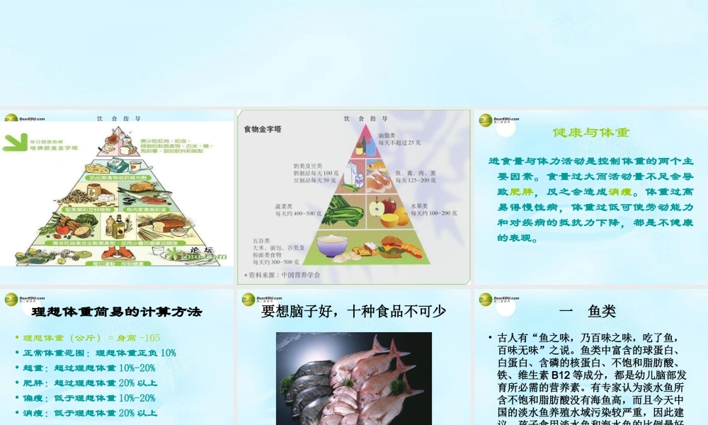八年级生物上册 营养健康及食品安全课件 鲁科版 课件