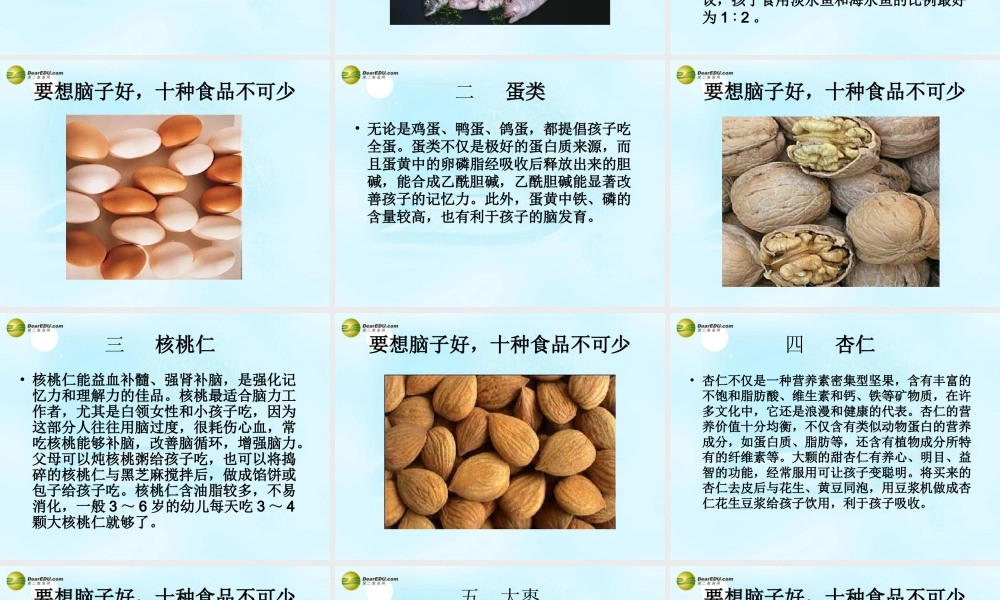 八年级生物上册 营养健康及食品安全课件 鲁科版 课件