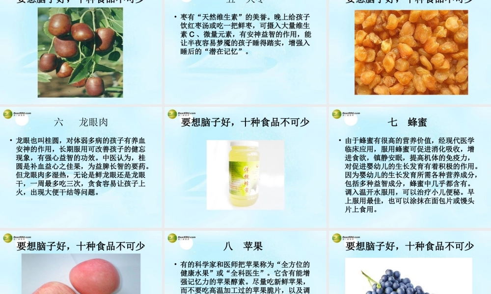 八年级生物上册 营养健康及食品安全课件 鲁科版 课件