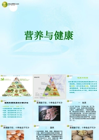 八年级生物上册 营养健康及食品安全课件 鲁科版 课件