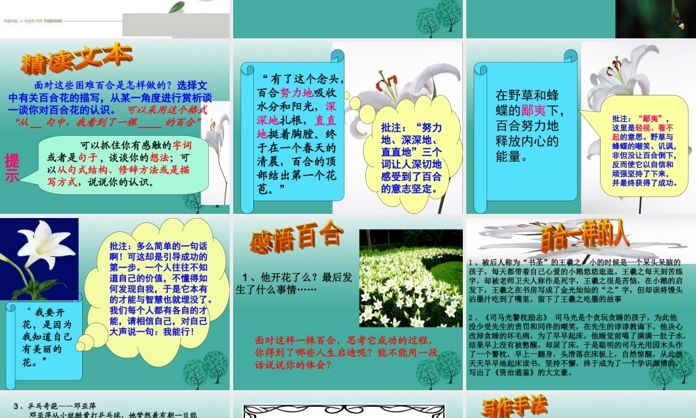 八年级语文上册 9(心田上的百合花开)课件 鲁教版五四制 课件