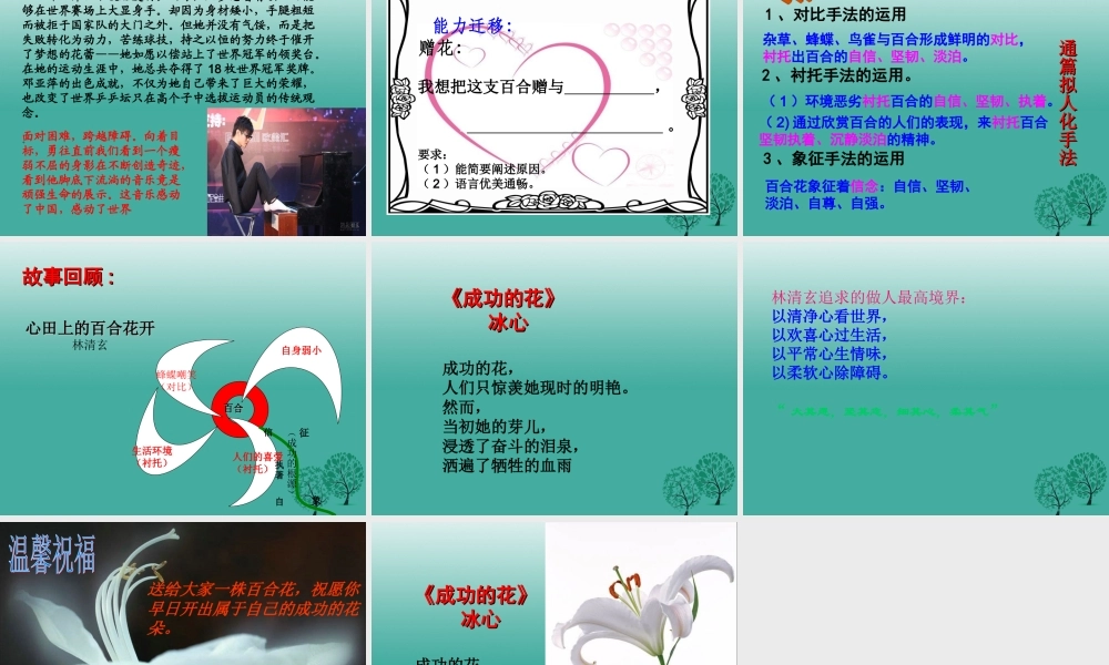 八年级语文上册 9(心田上的百合花开)课件 鲁教版五四制 课件