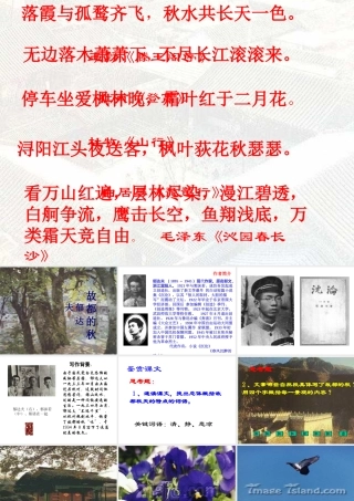 故都的秋 高二语文精品课件大集合7 高二语文精品课件大集合7