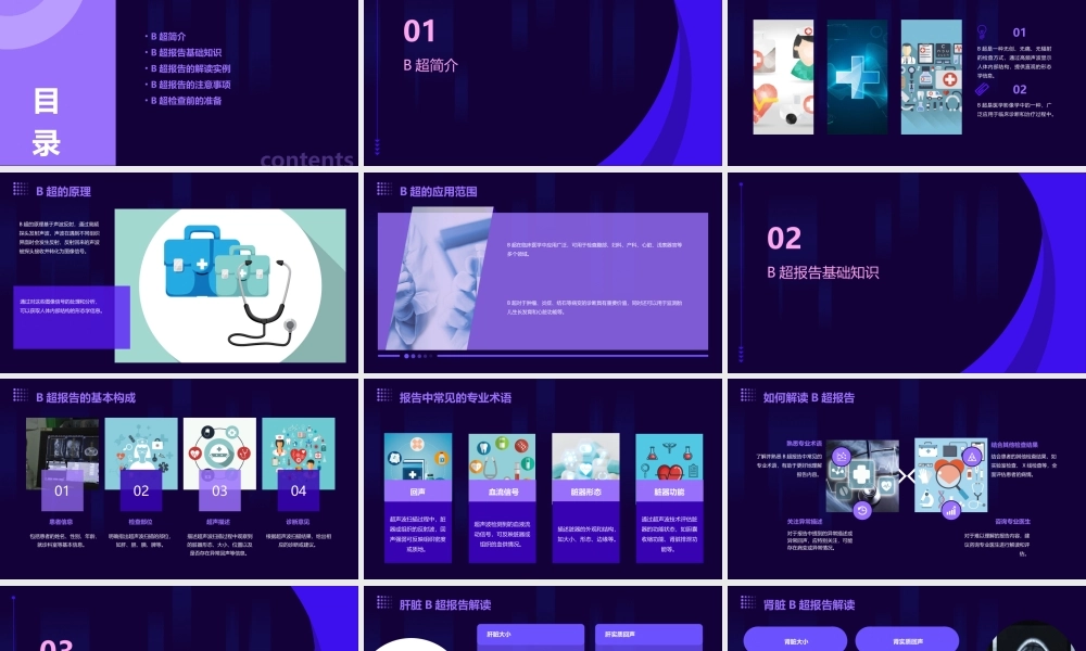解读B超报告基础知识通用课件