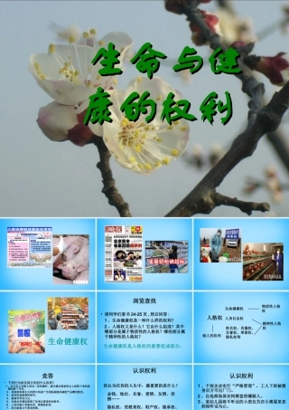 八年级政治下册 2.3.1 生命和健康的权利课件 新人教版 课件