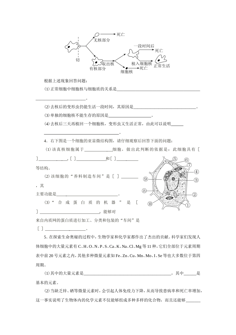 新课标人教版高中生物必修一分子与细胞教科书配套试题：期中测试题(word版，含答案解析）_第3页