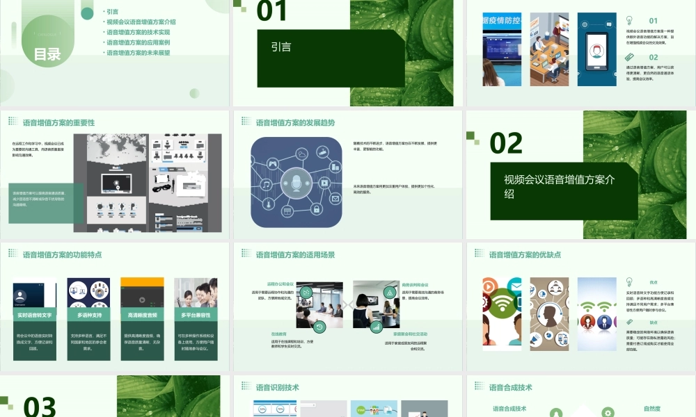 视频会议语音增值方案课件