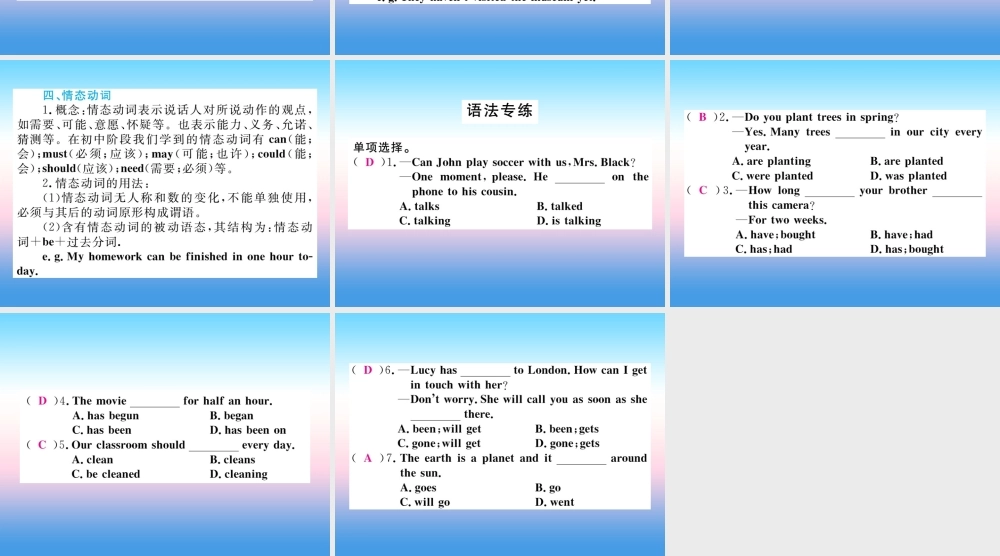 九年级英语全册 Unit 13 We re trying to save the earth语法小专题习题课件 (新版)人教新目标版 课件