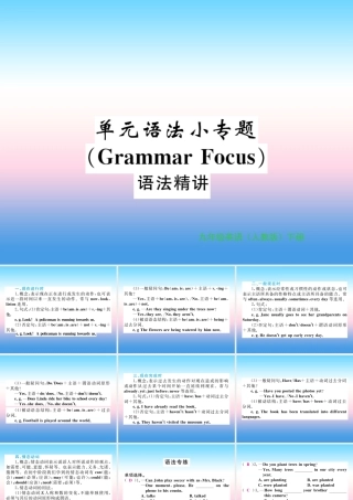 九年级英语全册 Unit 13 We re trying to save the earth语法小专题习题课件 (新版)人教新目标版 课件