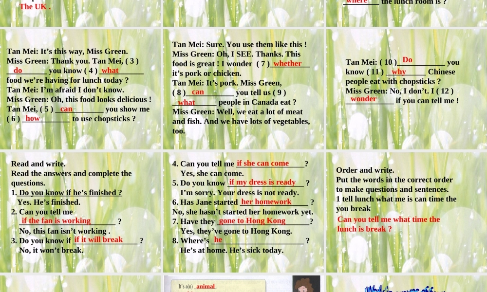 八年级英语Module 9 A Visitor from Canada 9 Unit3 Can you show Miss Green where the lunch room is？课件外研版 课件