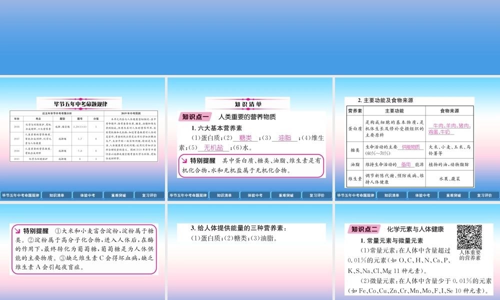 中考化学总复习 第1编 教材知识梳理篇 第12单元 化学与生活(精讲)课件