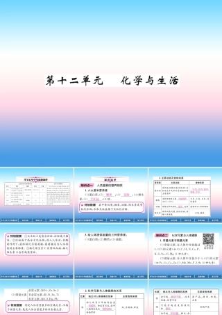 中考化学总复习 第1编 教材知识梳理篇 第12单元 化学与生活(精讲)课件