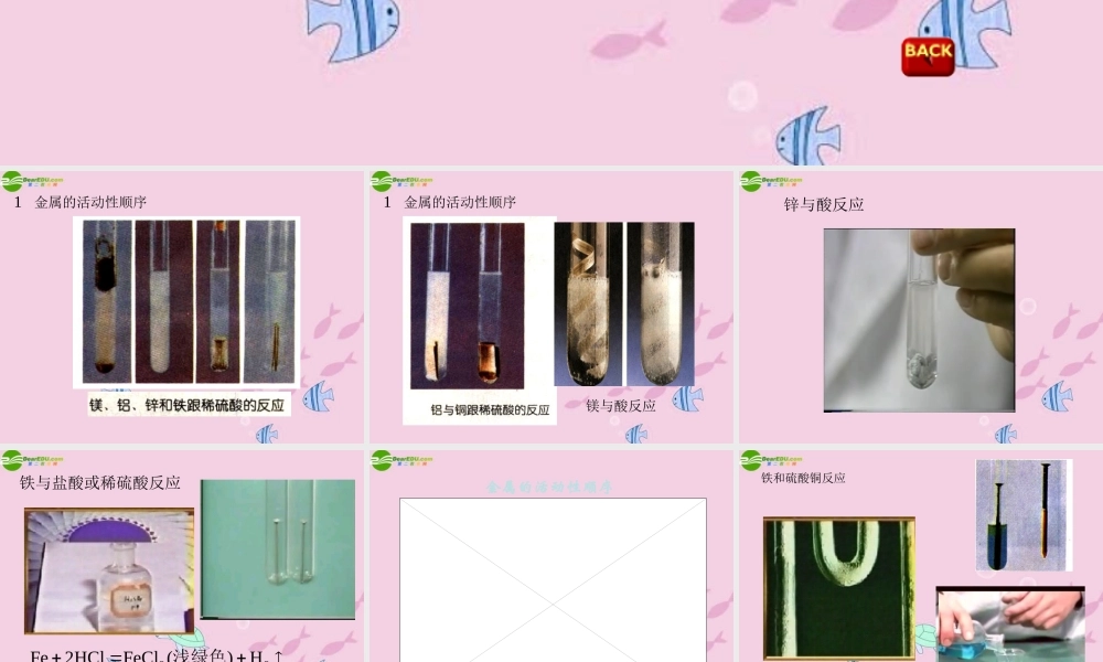 八年级科学上册 第五章第四节金属的化学活动性顺序课件 华东师大版 课件