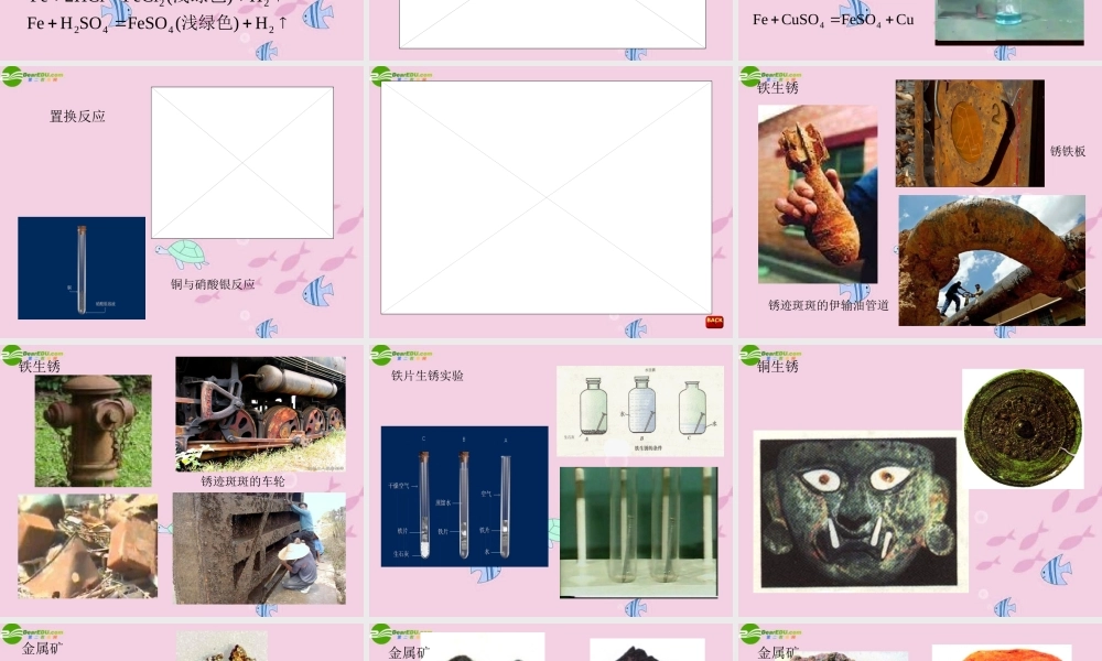 八年级科学上册 第五章第四节金属的化学活动性顺序课件 华东师大版 课件