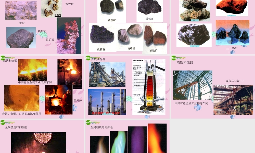 八年级科学上册 第五章第四节金属的化学活动性顺序课件 华东师大版 课件