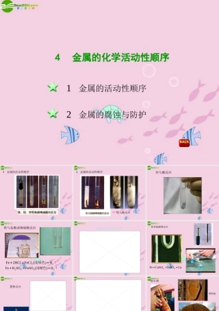 八年级科学上册 第五章第四节金属的化学活动性顺序课件 华东师大版 课件