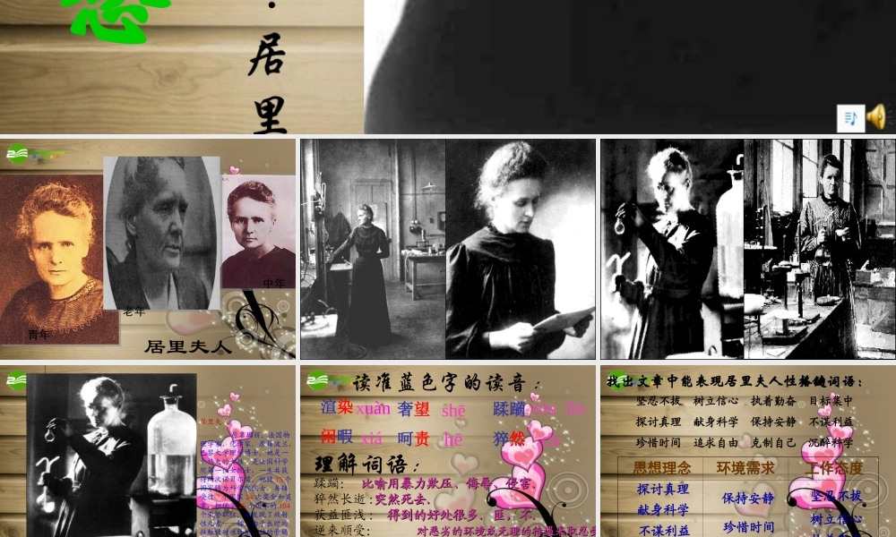 七年级语文上册 (我的信念)课件 人教新课标版 课件