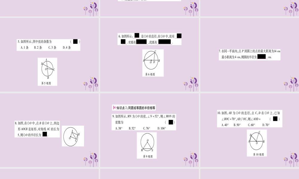 九年级数学上册 第二十四章 圆 241 圆的有关性质 2411 圆作业课件 (新版)新人教版 课件