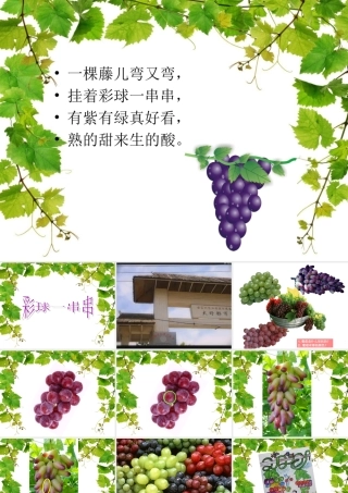 安小刘静静《彩球一串串》课件