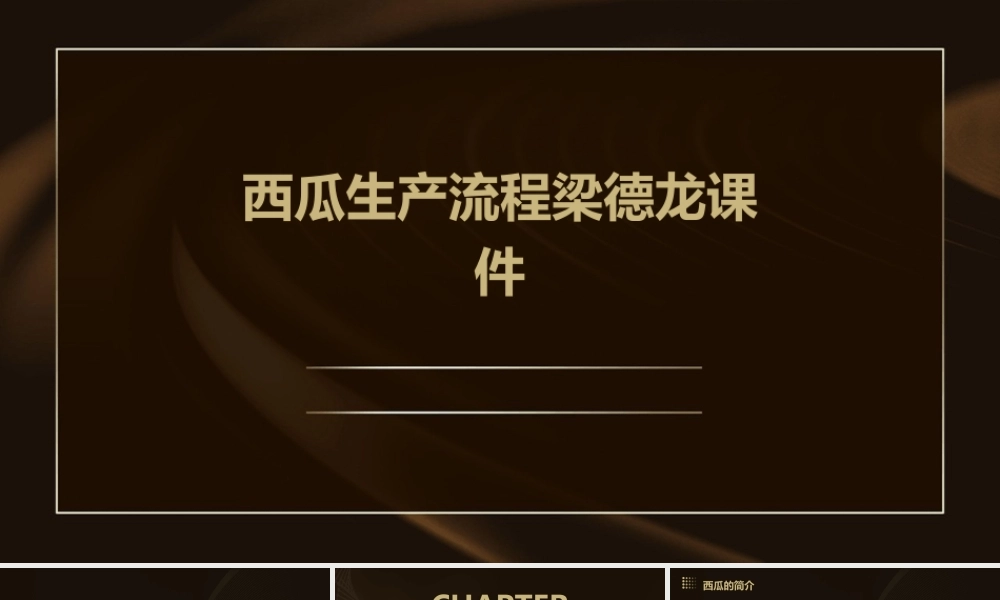 西瓜生产流程梁德龙课件