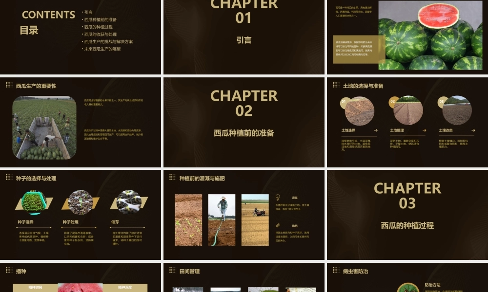 西瓜生产流程梁德龙课件