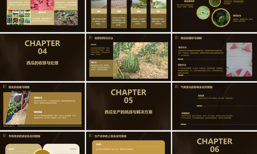 西瓜生产流程梁德龙课件