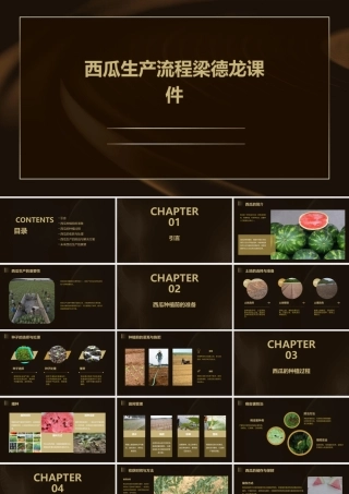 西瓜生产流程梁德龙课件