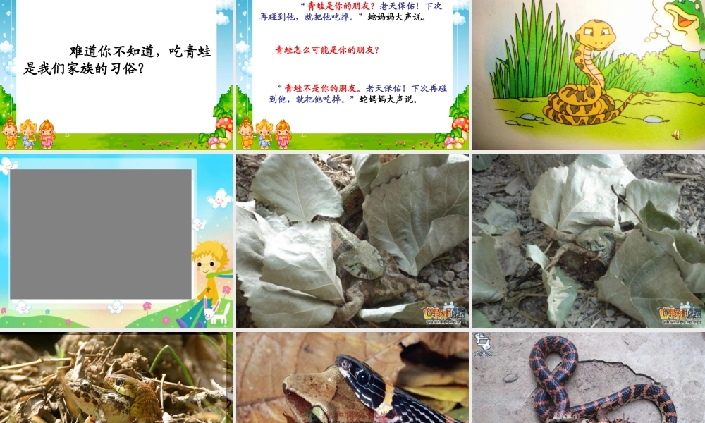 《青蛙和蛇》01