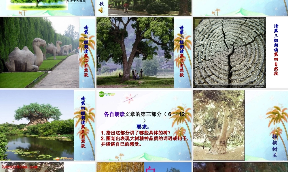 七年级语文上册(大树和我们的生活)课件 上海五四制版 课件