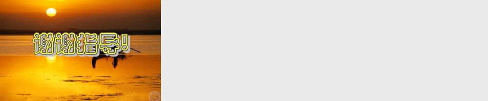 八年级政治上册 第17课(走依法治国路)课件 鲁教版 课件