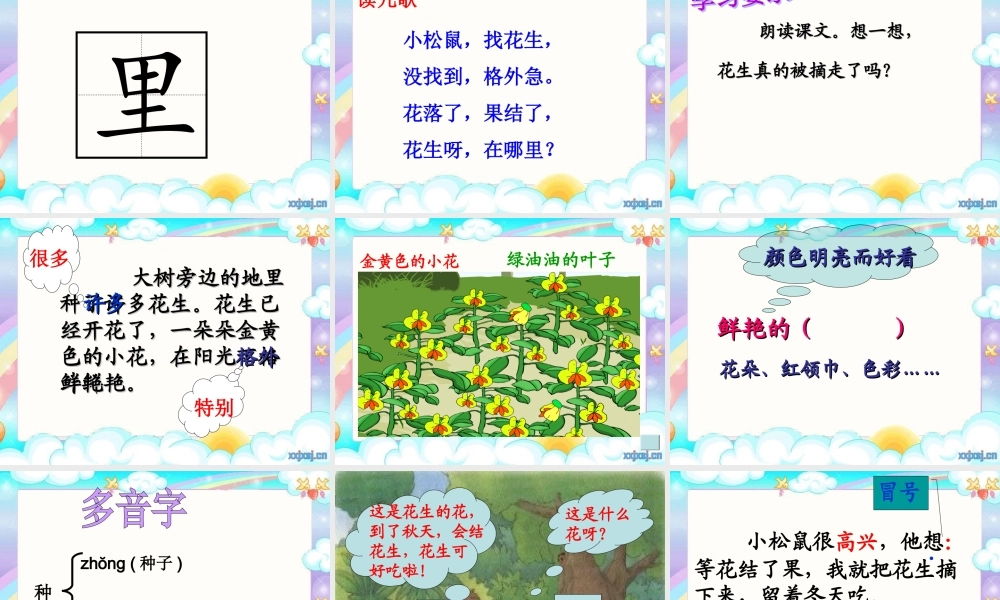 小松鼠找花生果 (2)