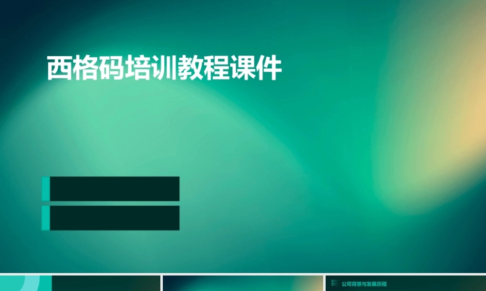 西格码培训教程课件