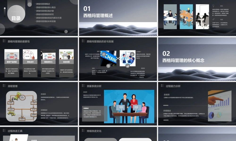 西格玛管理者课程课件