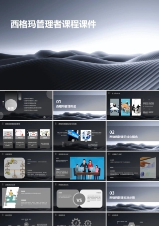 西格玛管理者课程课件