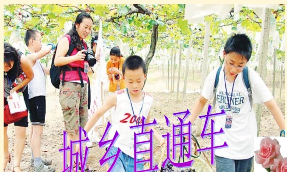 八年级政治下册 第七课(城乡直通车)课件 人民版 课件